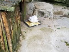 -黔灵山公园