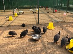 -羊亭河湿地公园