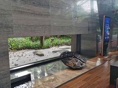 -深圳隐秀山居酒店