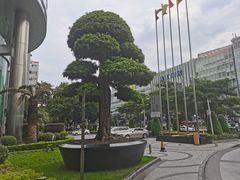 -珠江夜游广州塔·中大码头