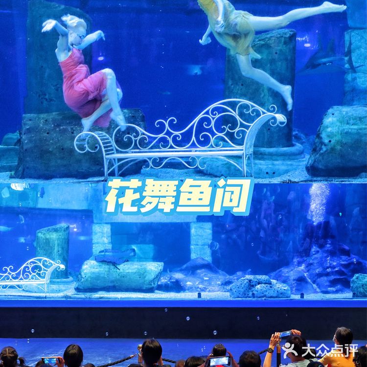 溜娃好去处｜🐠正佳极地海洋世界好玩又好睇