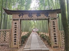 -大奇山国家森林公园