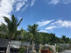 -越海渔村