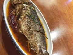 -蒙古大营(朝阳公园店)