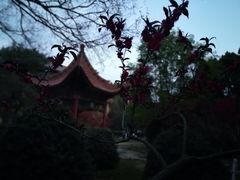 -陕西师范大学(雁塔校区)