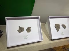 -烟台市博物馆