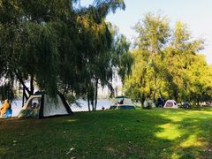 -长白岛森林公园