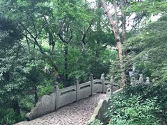 -汇龙潭