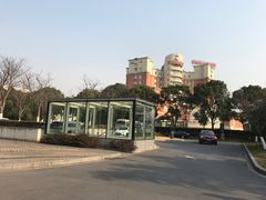 -复旦大学附属华山医院(浦东院区)