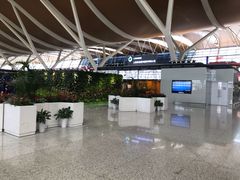 -上海浦东国际机场-T2航站楼