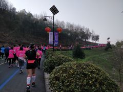 -南京市无想山景区