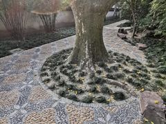 -上海醉白池公园