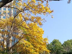 -莹珠阁·私房菜