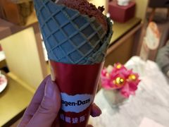 -哈根达斯(龙湖时代天街店)