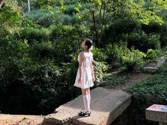 -雨花胜境
