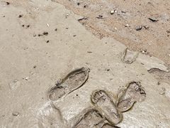 -北岐滩涂
