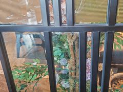 -风渡嘉荷·美式西餐·牛排(西三旗金隅店)