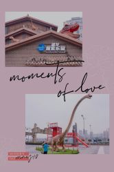 -恐龙探索乐园(磁器口店)