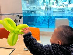 -帝企鹅自助餐厅•儿童岛•真企鹅(长隆企鹅酒店)