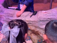 -沈阳海洋探索中心