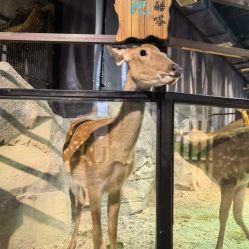 -酷嗒动物文化乐园(cutezoo西溪乐天城店)