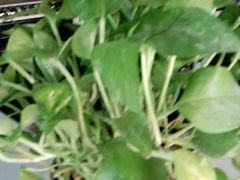 -老牌坊鲁菜名店(美莲广场店)