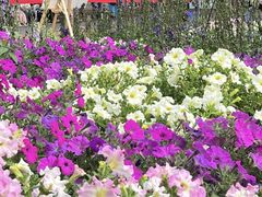 -荔湾区儿童公园