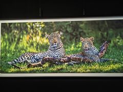 -罗红摄影艺术馆