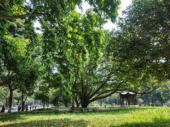 -广西大学(大学东路校区)