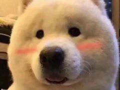 -刘胖子家常菜·蹄花焖藕(兴业店)