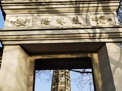 -上海佘山国家森林公园天马山园