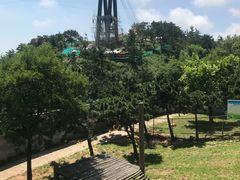 -西霞口神雕山野生动物世界