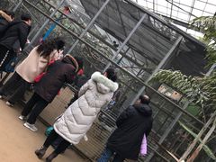 -呀路古热带植物园