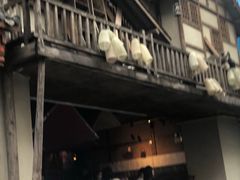 门面-哥老官重庆美蛙鱼头(西湖银泰十一哥店)