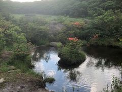-大围山国家森林公园