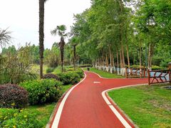 -夏河溪乡野公园