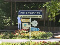 -汤旺河林海奇石景区
