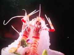 -樱之盛宴·蟹料理海鲜自助(前进大街店)