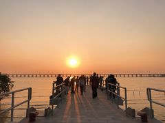 -宝安西湾红树林湿地公园