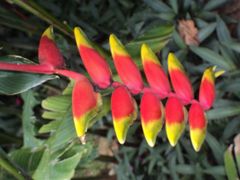 -三亚亚龙湾金棕榈度假酒店