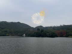 -深圳仙湖植物园