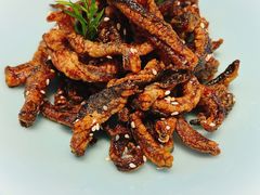 -香港狮子山下·明星粤菜餐厅(北苑店)