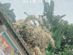-深圳国际园林花卉博览园