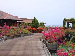-卡帕莱度假村(西巴丹岛)