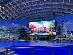 -海合安武汉极地海洋公园