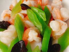 -云中小雅
