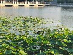 -长春世界雕塑园冰雪艺术天地