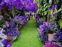 -The Grounds of Alexandria