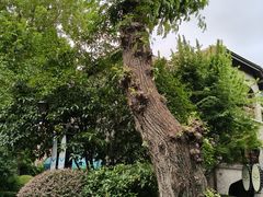 -上海孙中山故居纪念馆