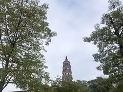 -顺峰山公园